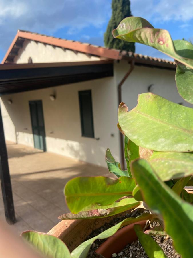 Villa Al Presti, Vacanze In Pieno Relax チェファル エクステリア 写真