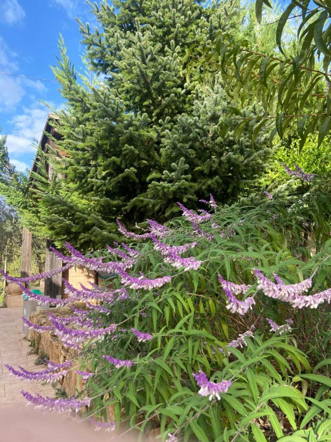Villa Al Presti, Vacanze In Pieno Relax チェファル エクステリア 写真