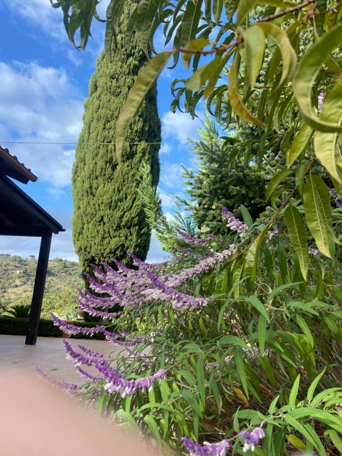 Villa Al Presti, Vacanze In Pieno Relax チェファル エクステリア 写真