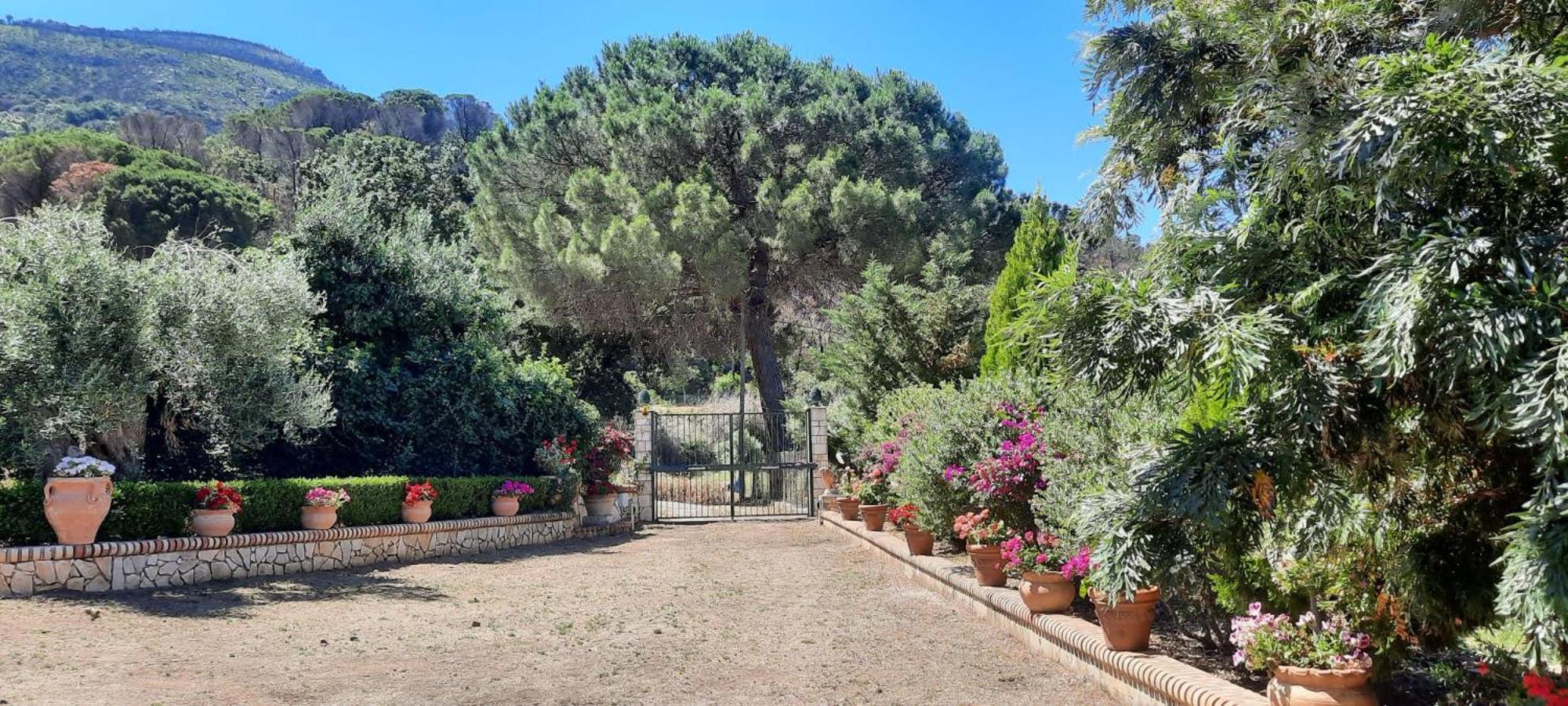 Villa Al Presti, Vacanze In Pieno Relax チェファル エクステリア 写真