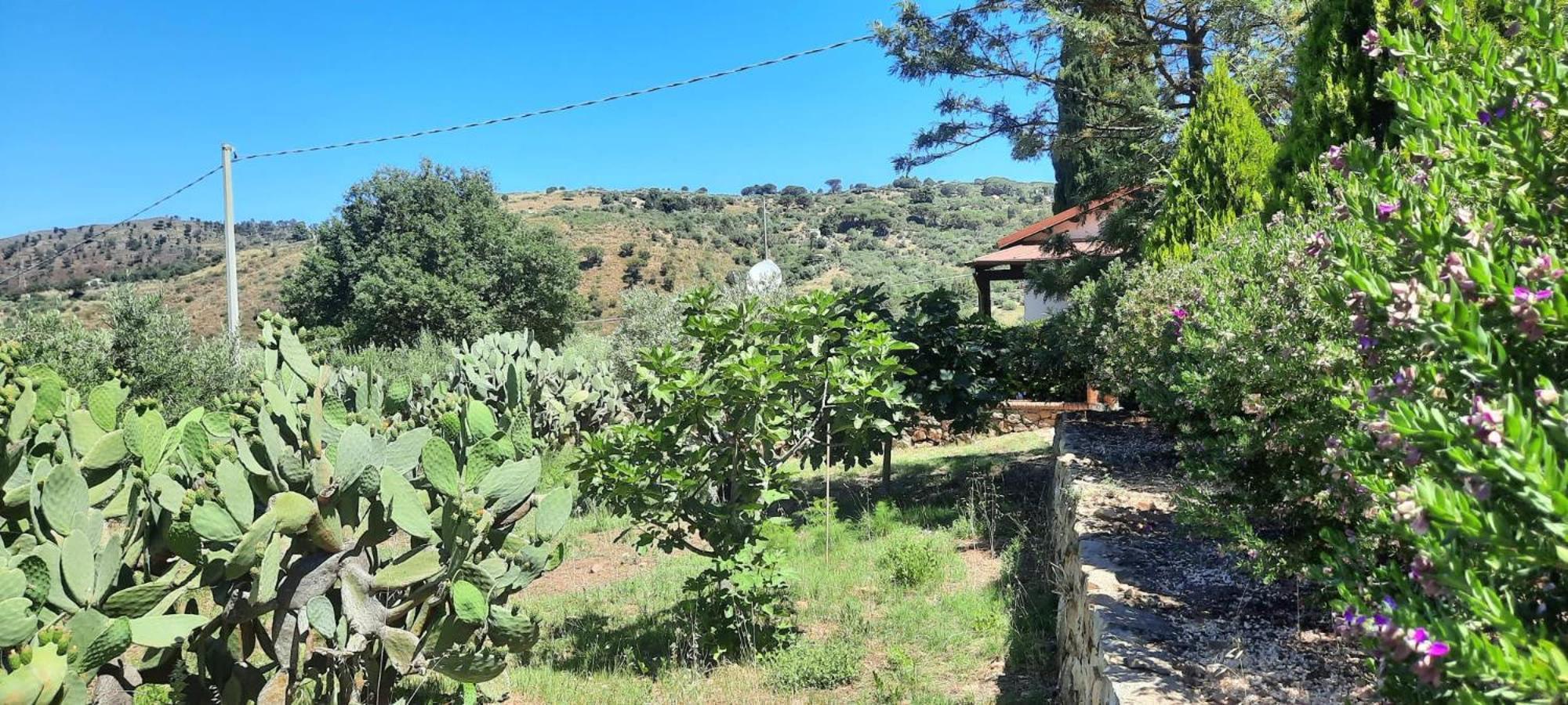 Villa Al Presti, Vacanze In Pieno Relax チェファル エクステリア 写真