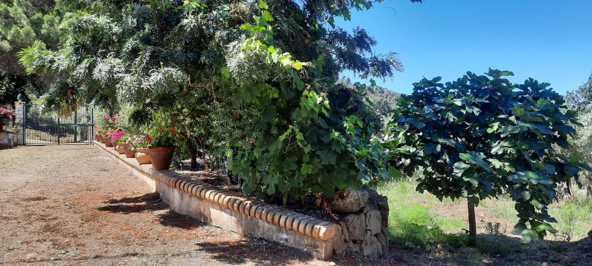 Villa Al Presti, Vacanze In Pieno Relax チェファル エクステリア 写真